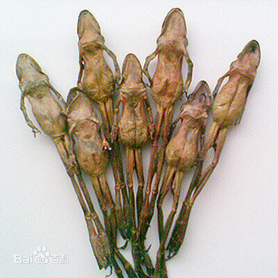 Hashima Drying Process